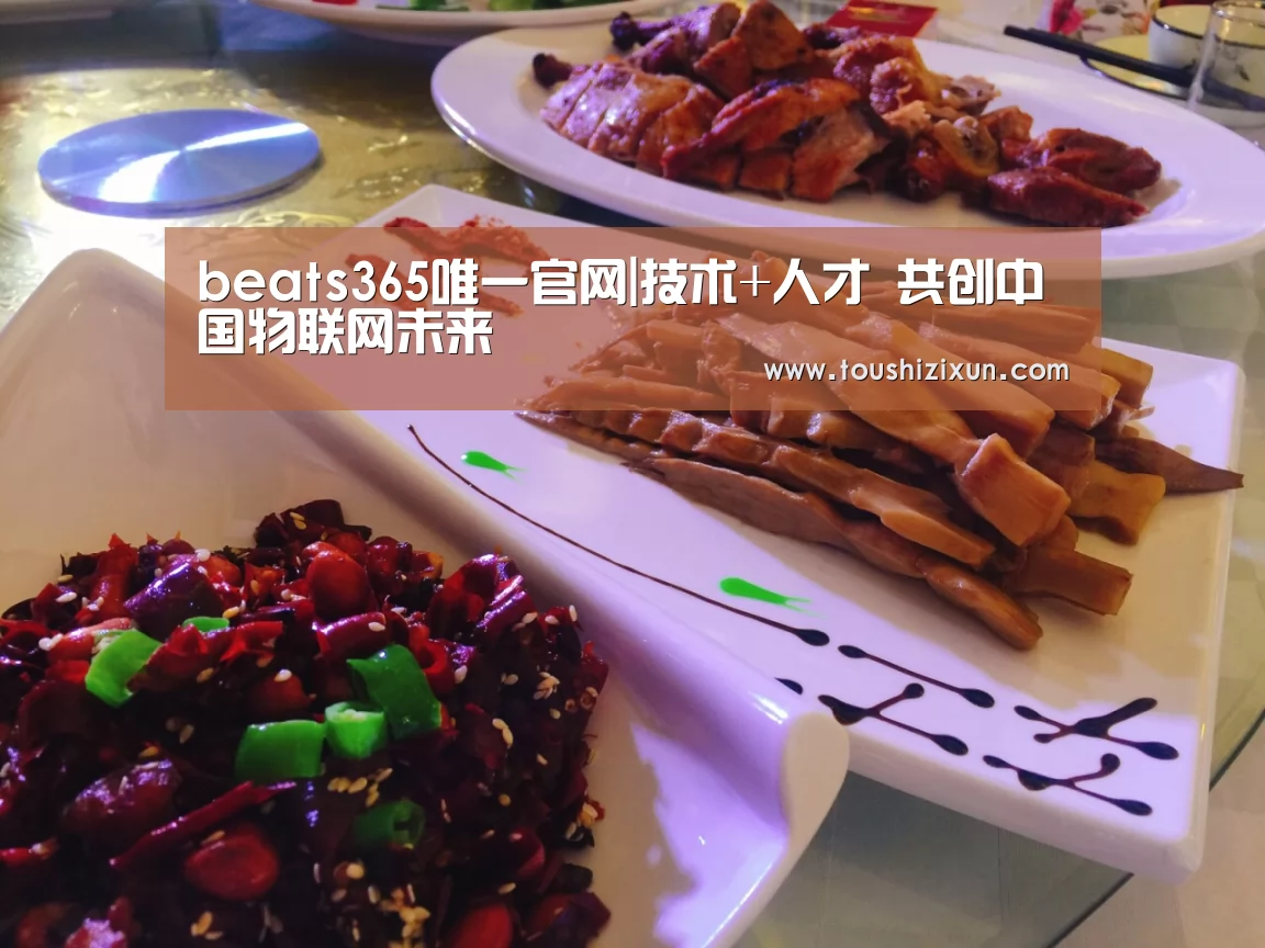 beats365唯一官网|技术+人才 共创中国物联网未来(图1) beats365唯一官网